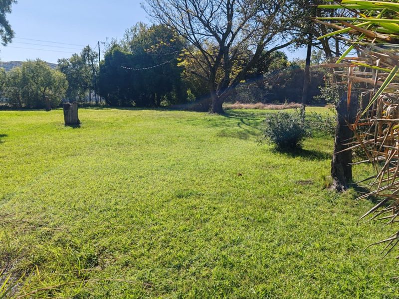 A spacious, open garden area featuring established mature trees and expansive lawn space, suitable for outdoor activities or potential landscaping development.