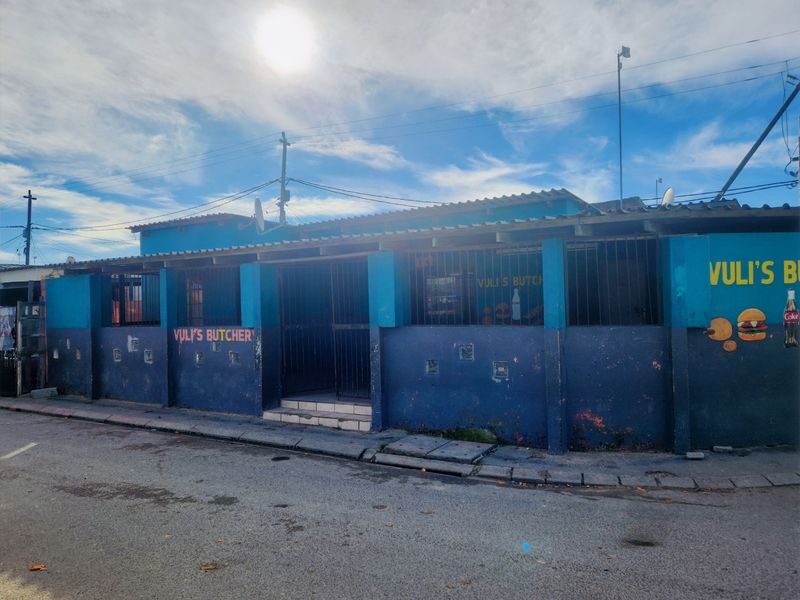 Street-facing view of a commercial property featuring a blue painted facade, security bars, and a tiled roof structure.