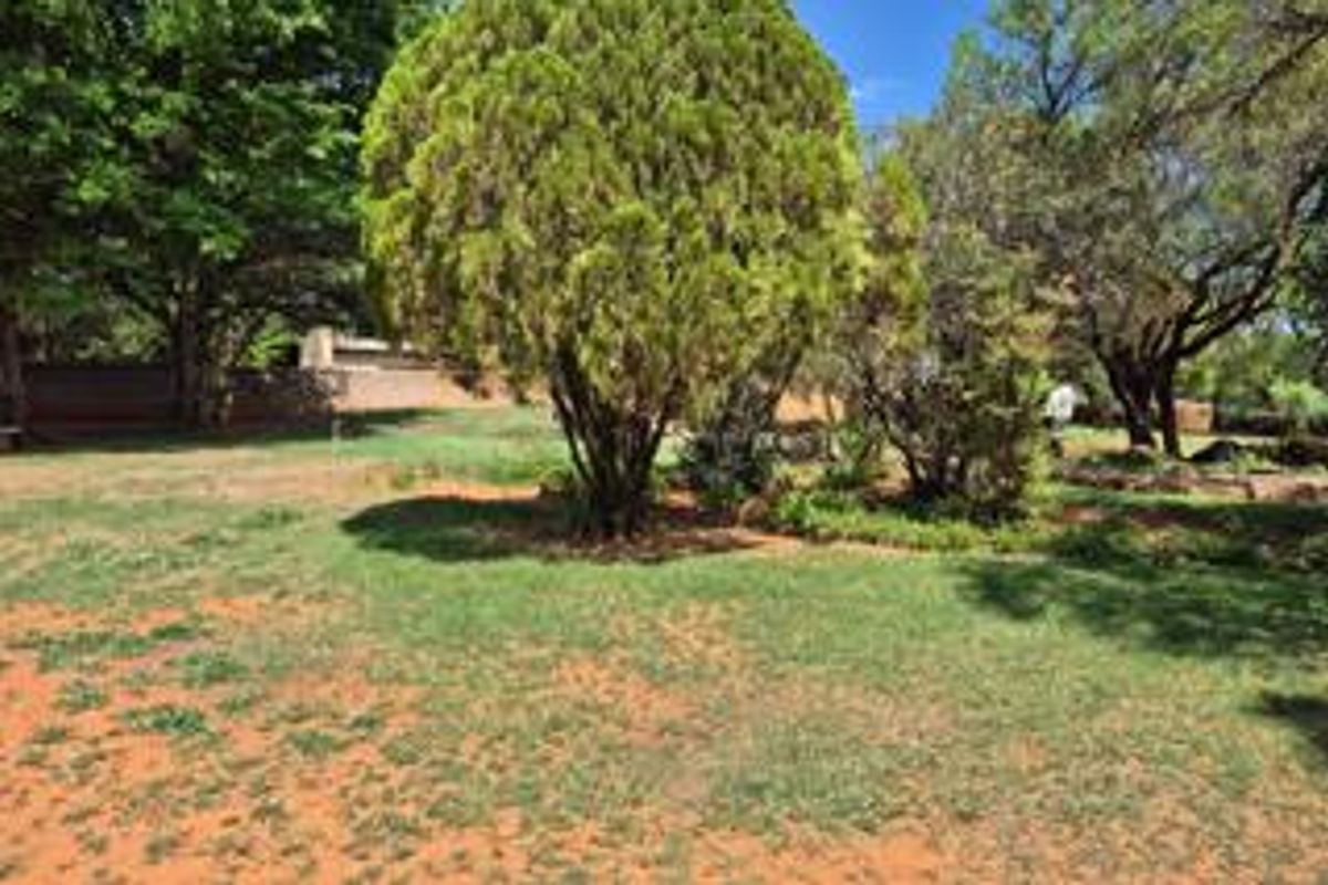 A spacious outdoor garden area featuring mature trees and a lawn with areas of exposed soil.