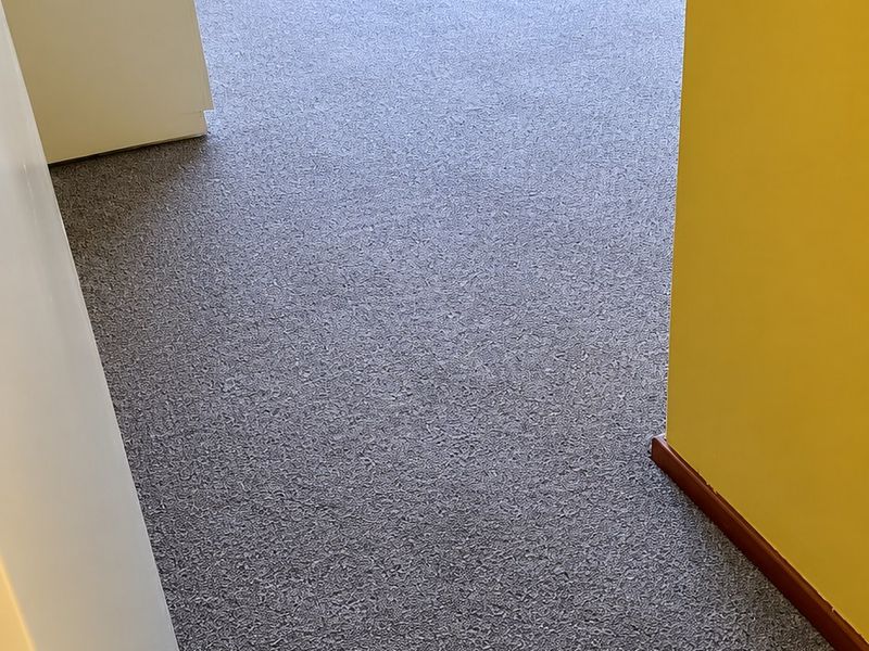 An empty bedroom featuring grey carpet flooring, yellow walls, and a window fitted with security bars.