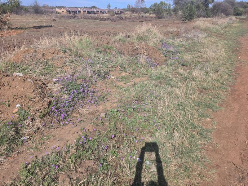 A view of the vacant residential land featuring natural vegetation and open ground.