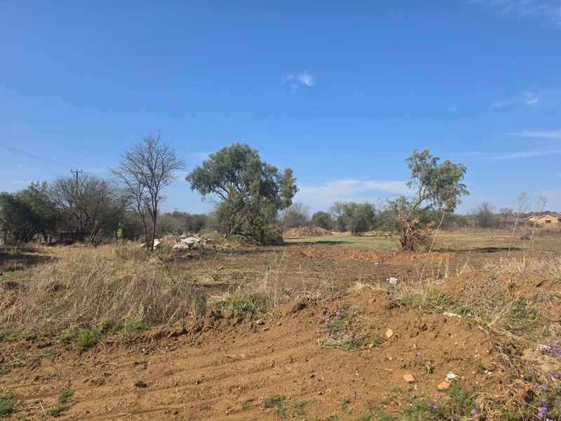 A view of a vacant residential plot featuring cleared land, scattered debris, and mature trees under a clear blue sky.
