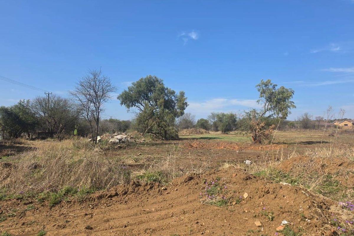 A view of a vacant residential plot featuring cleared land, scattered debris, and mature trees under a clear blue sky.