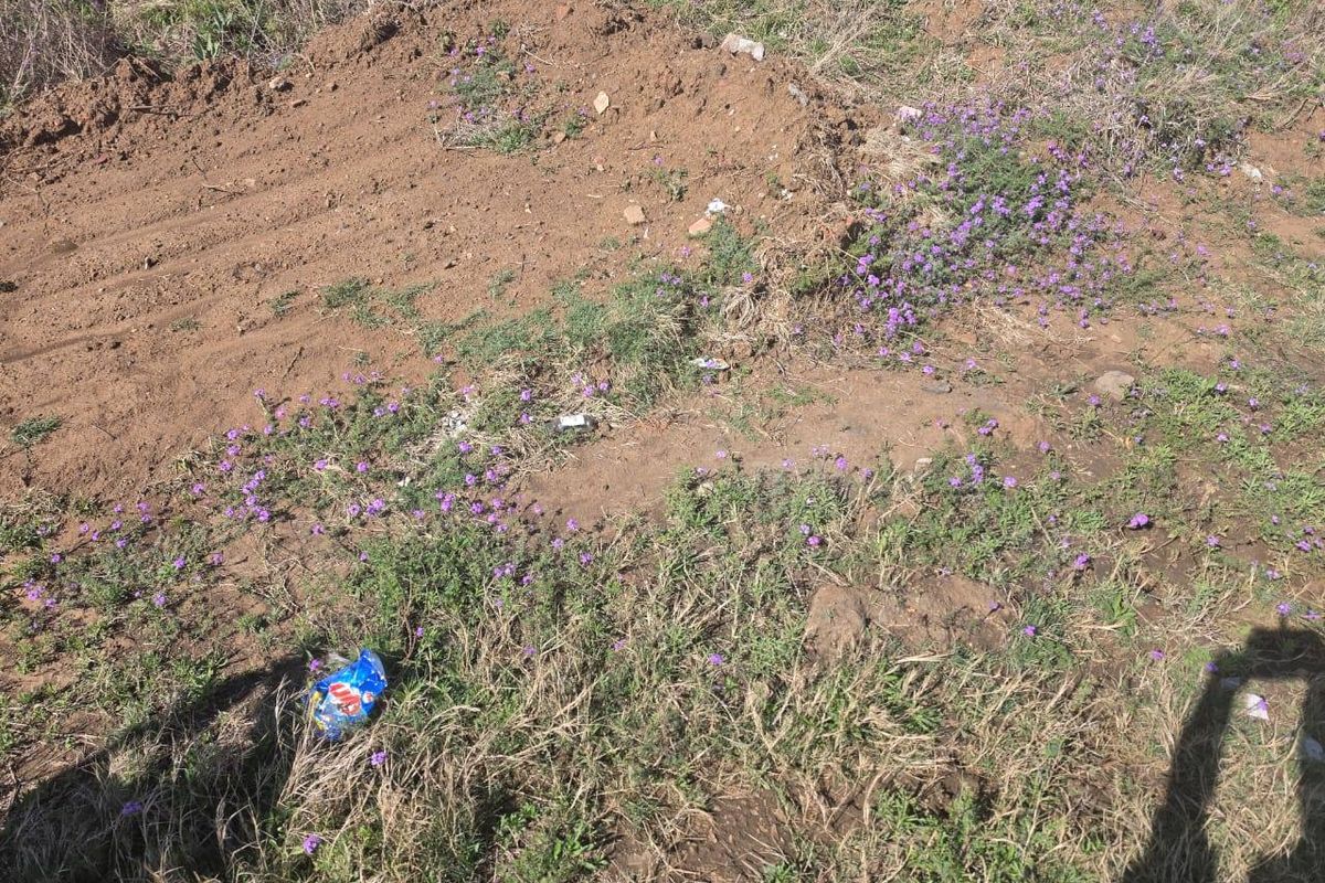 An elevated view of a vacant residential plot featuring natural soil, wild vegetation, and purple wildflowers.