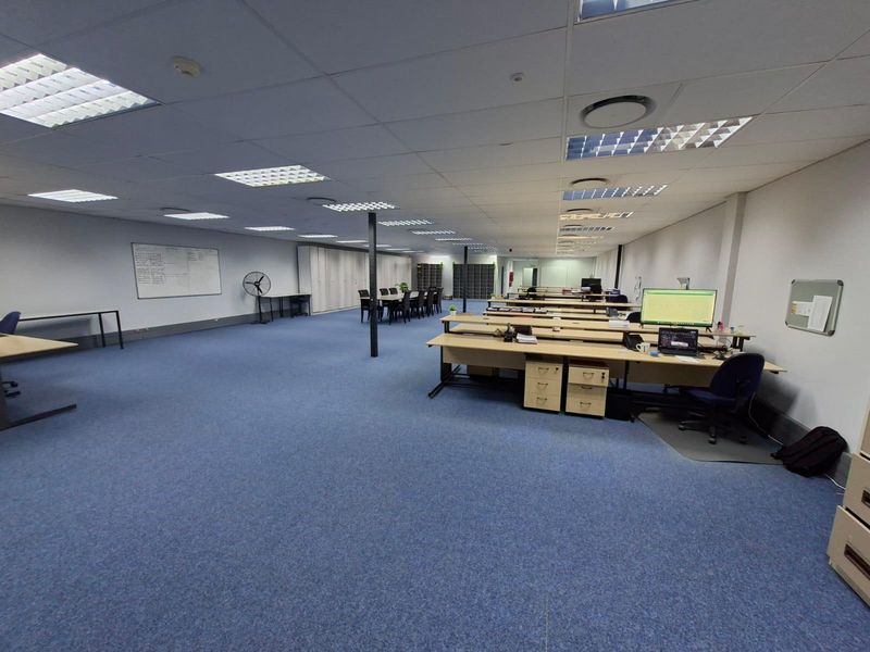 Spacious open-plan commercial office area featuring suspended ceilings, recessed lighting, and blue carpeting, providing a functional workspace environment.