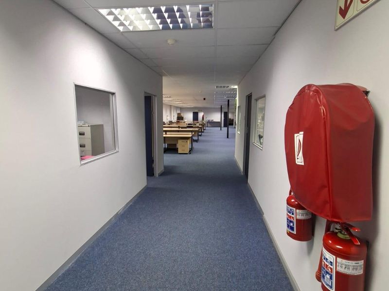 A commercial office hallway featuring blue carpeting, suspended ceilings with recessed lighting, and wall-mounted fire safety equipment.