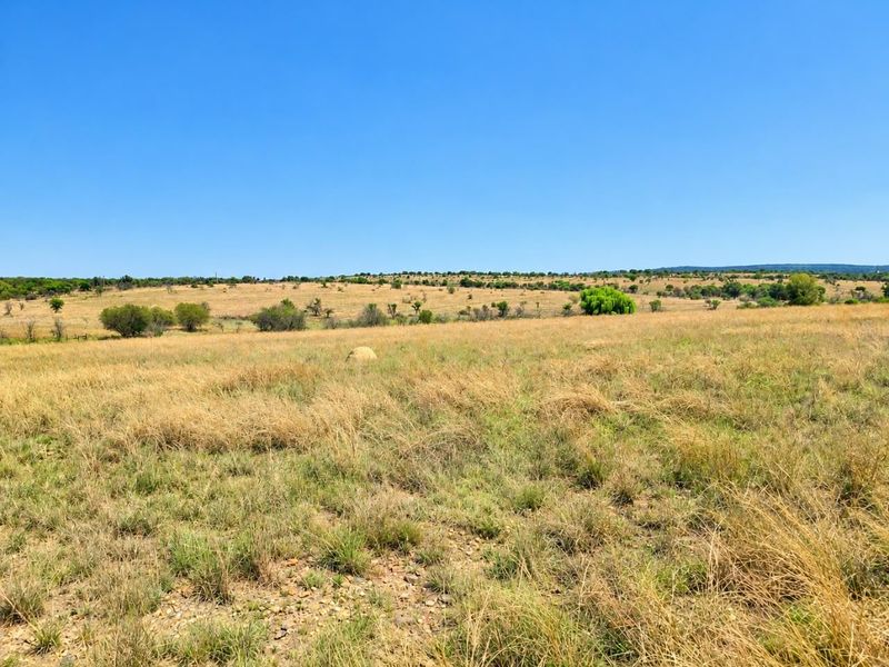 A wide-angle view of the expansive, open grassland landscape characteristic of the farm property.