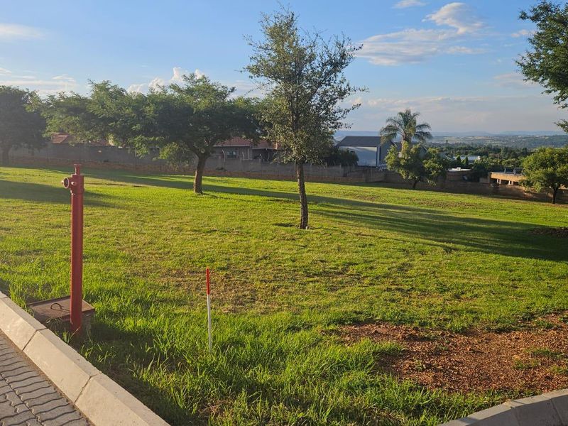 A well-maintained open green space featuring a fire hydrant, paved curbing, and established trees with a view of the surrounding neighborhood.