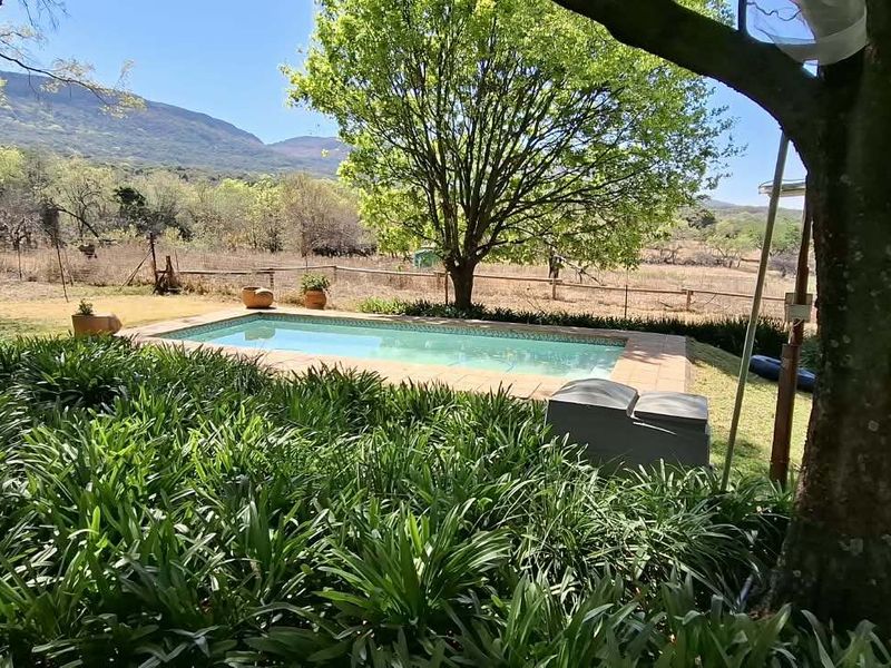 Outdoor swimming pool area set within a landscaped garden, featuring a tiled surround and scenic mountain views in a tranquil farm setting.