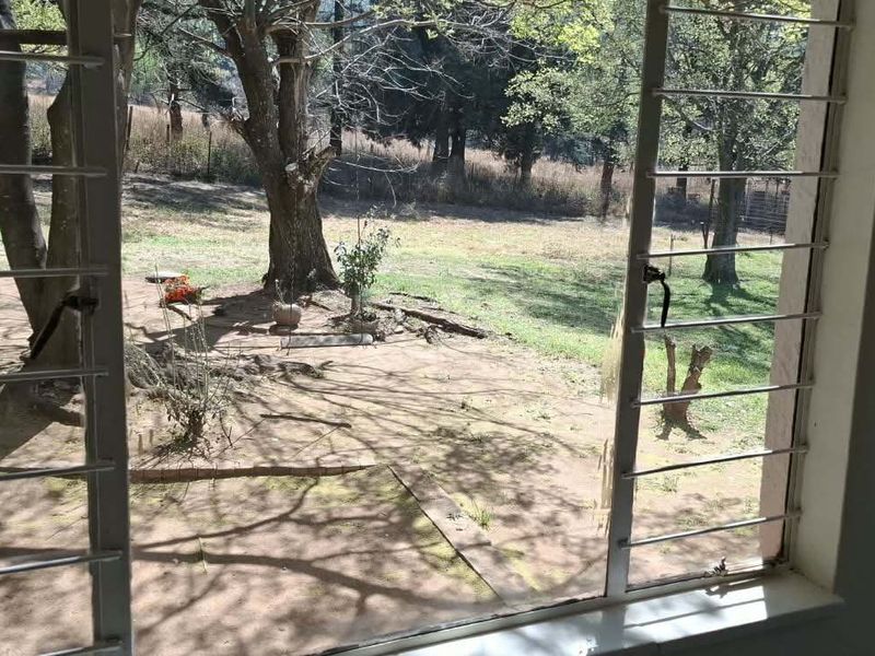 A view from inside looking out through a window with security bars onto a natural farm landscape with trees and open ground.