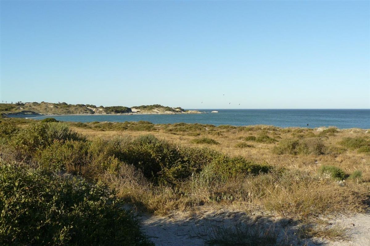 A scenic view of the coastal landscape and ocean, showcasing the natural beauty of the vacant residential land.
