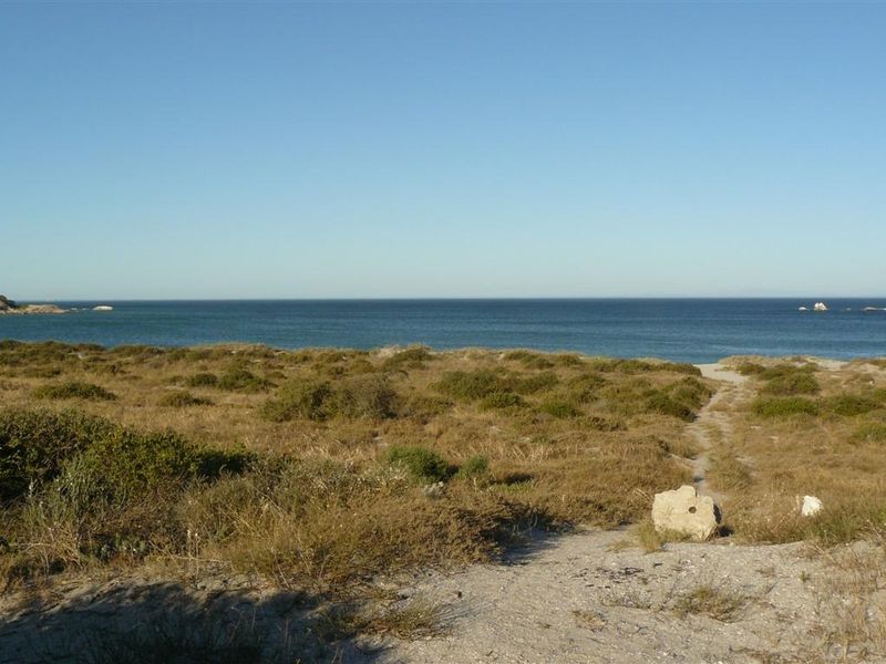 A scenic view of the coastline featuring natural vegetation and a sandy path leading towards the ocean.