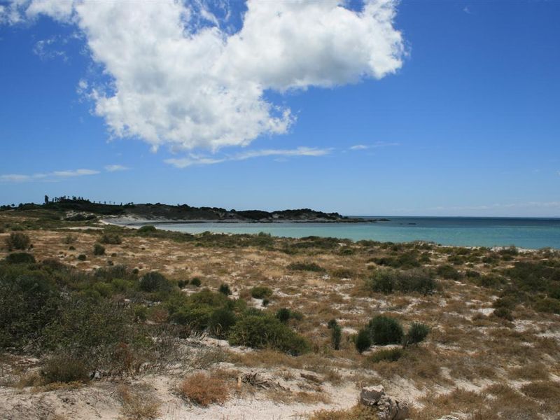 A scenic view of the coastal landscape and beach, showcasing the natural beauty and open space of the vacant land.