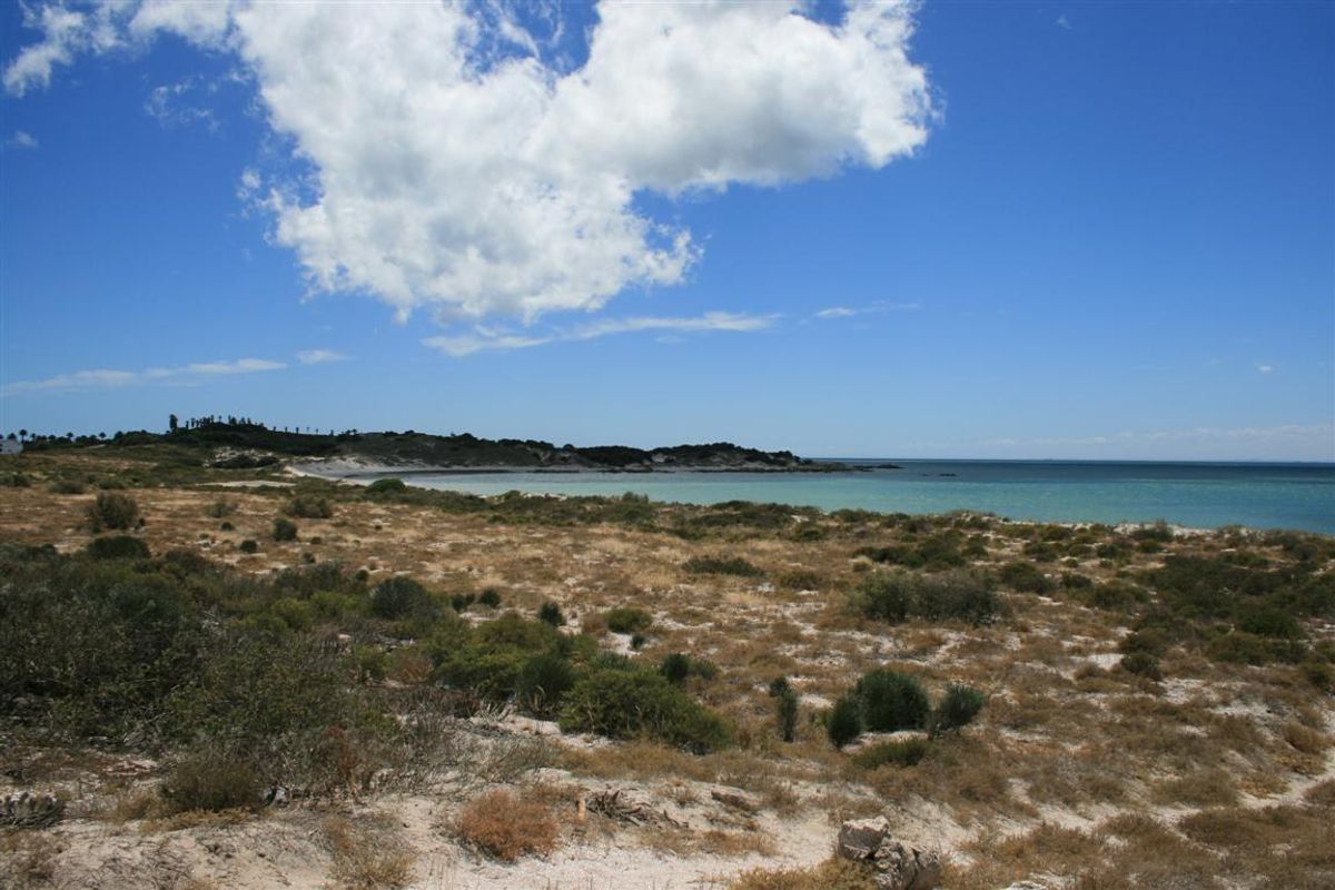 A scenic view of the coastal landscape and beach, showcasing the natural beauty and open space of the vacant land.