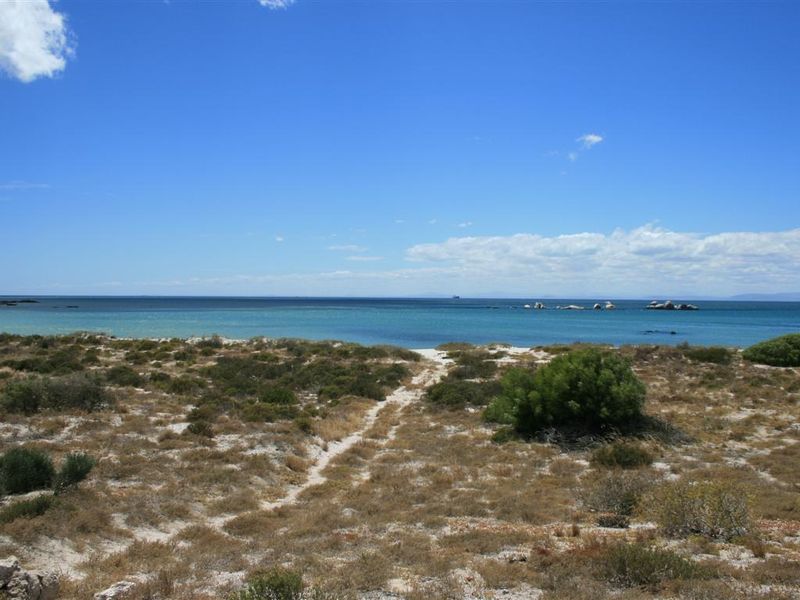 A scenic view of the coastline featuring natural vegetation, a sandy path leading toward the ocean, and clear blue water.