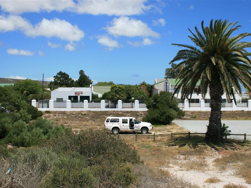 A view of a vacant residential plot featuring natural vegetation, a mature palm tree, and perimeter fencing.