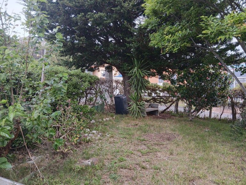 A private garden area featuring mature trees, established hedging, and perimeter fencing, offering a natural outdoor space.