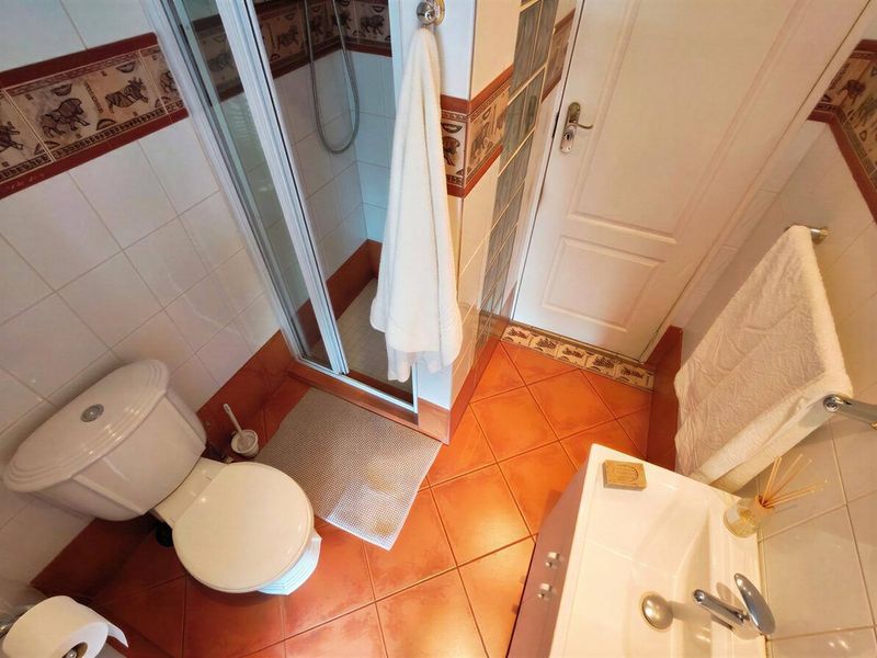Compact bathroom featuring a shower enclosure, toilet, and vanity basin with decorative tiled walls and terracotta-style floor tiles.
