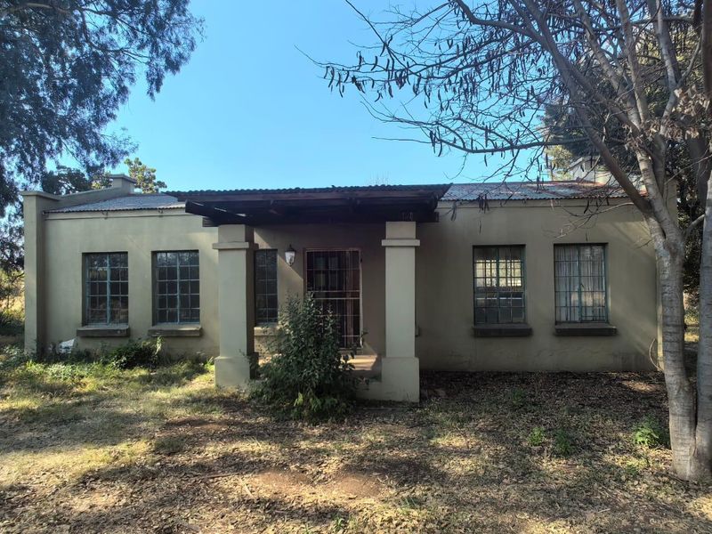 Front elevation of a single-story house featuring a covered porch, metal window frames, and a corrugated metal roof, set within an overgrown garden.