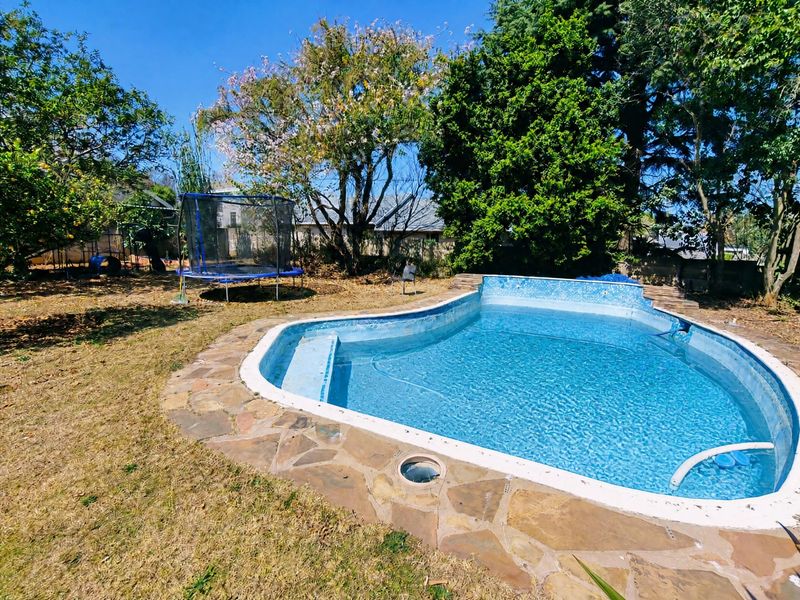 Outdoor swimming pool area featuring stone paving and established garden surroundings.