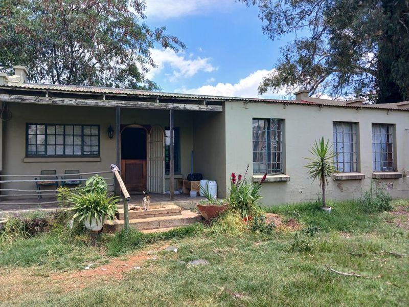 Farm Rental Monthly In Benoni - Photo 5