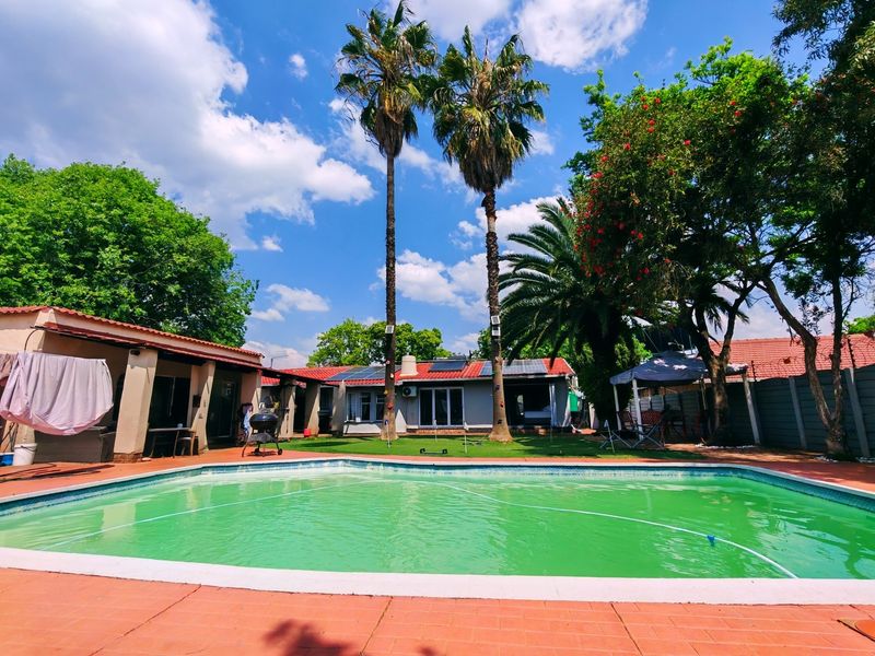 Spacious backyard featuring a swimming pool with tiled surround, covered patio area, and established garden with mature palm trees.