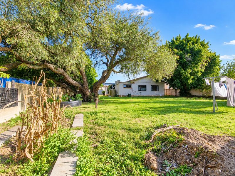 A spacious rear garden featuring a large mature tree, boundary walling, and a water tank, offering significant potential for landscaping.