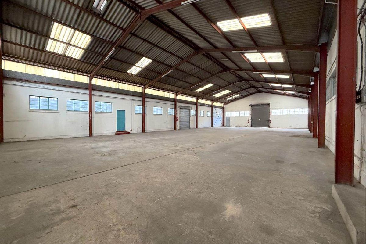 Spacious industrial warehouse featuring a steel portal frame, concrete flooring, multiple roller shutter doors, and ample natural light through integrated roof skylights.