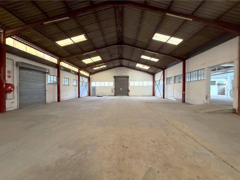 Spacious industrial warehouse featuring a high-clearance steel portal frame, concrete flooring, multiple roller shutter doors, and natural light provided by integrated roof skylights.