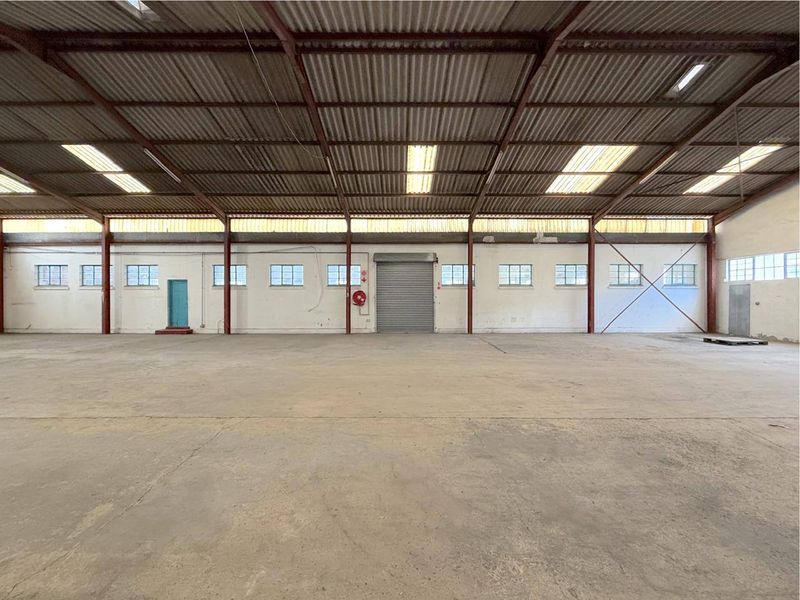 Spacious industrial warehouse featuring high ceilings, concrete flooring, a roller shutter door, and ample natural light through integrated skylights.