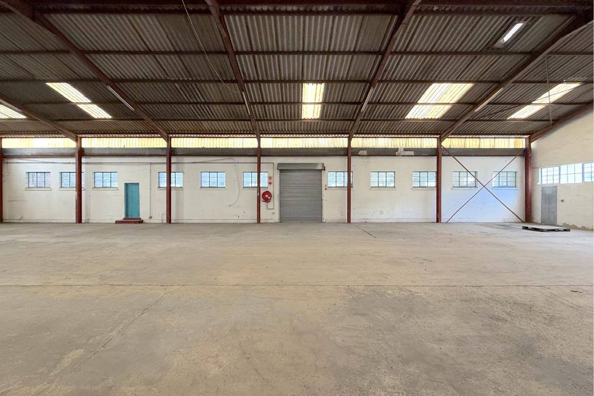 Spacious industrial warehouse featuring high ceilings, concrete flooring, a roller shutter door, and ample natural light through integrated skylights.