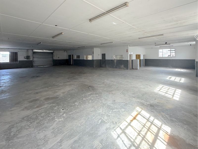A spacious, open-plan commercial utility or warehouse space featuring concrete flooring, roller shutter access, and functional overhead lighting.