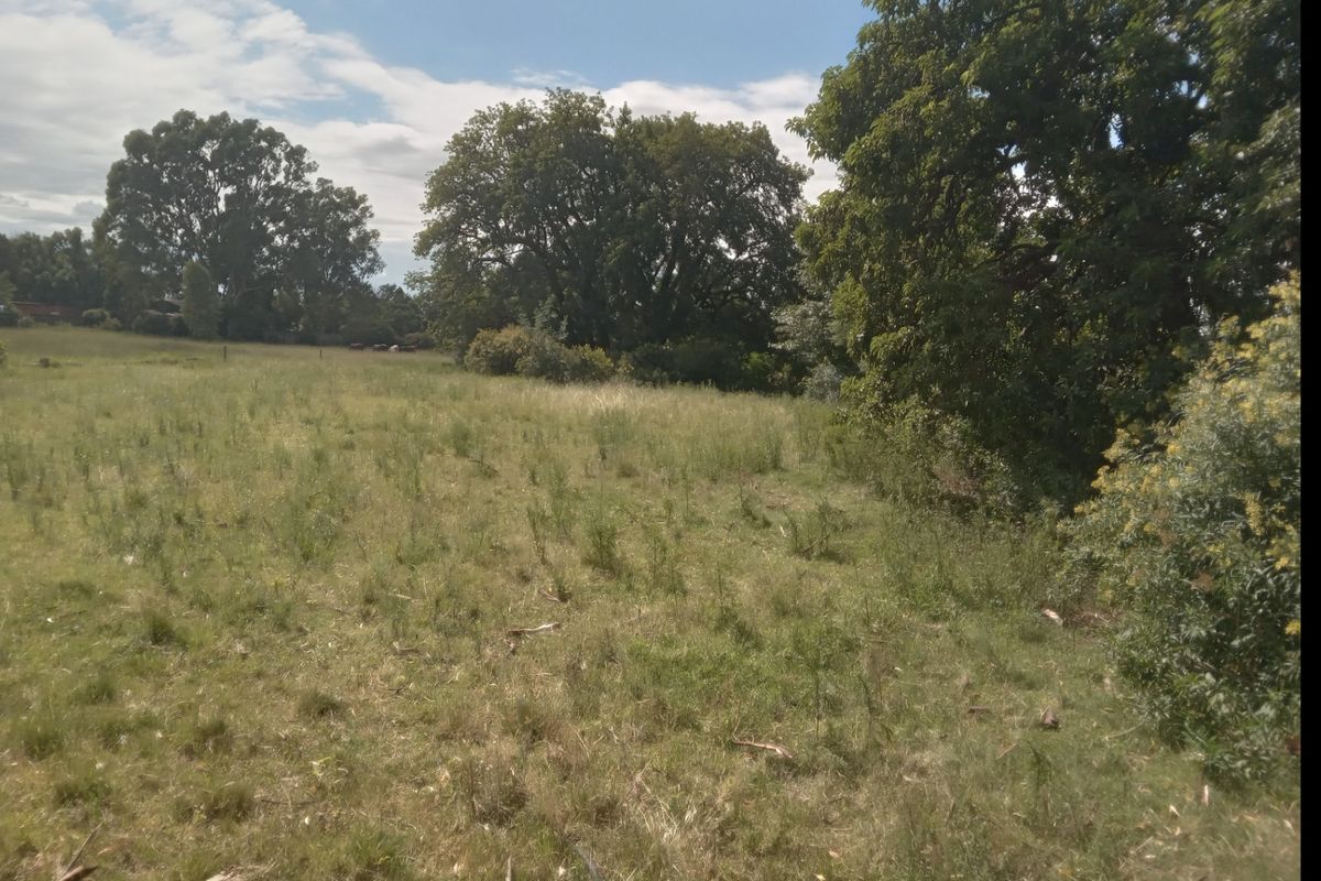 Farm Rental Monthly In Benoni - Photo 2