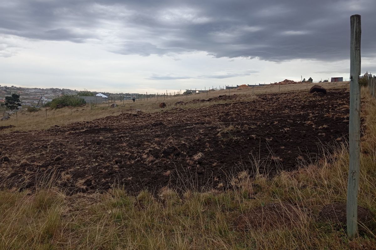 Vacant Land For Sale In Butterworth - Photo 5