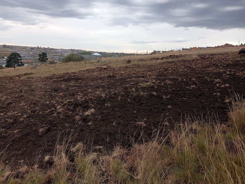Vacant Land For Sale In Butterworth - Photo 10