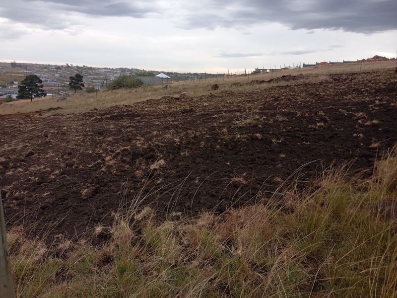 Vacant Land For Sale In Butterworth - Photo 9