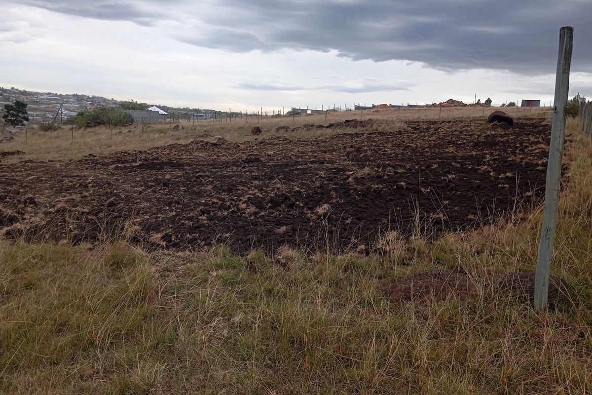 Vacant Land For Sale In Butterworth - Photo 4