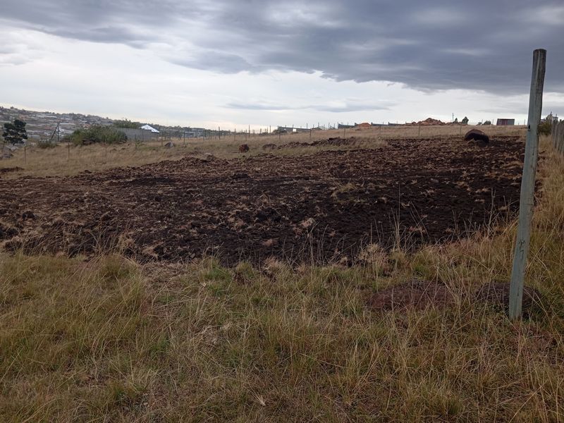 Vacant Land For Sale In Butterworth - Photo 4