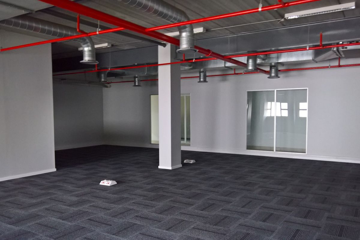Spacious open-plan industrial office area featuring exposed ductwork, fire sprinkler system, modern carpet tiles, and a glass partition.