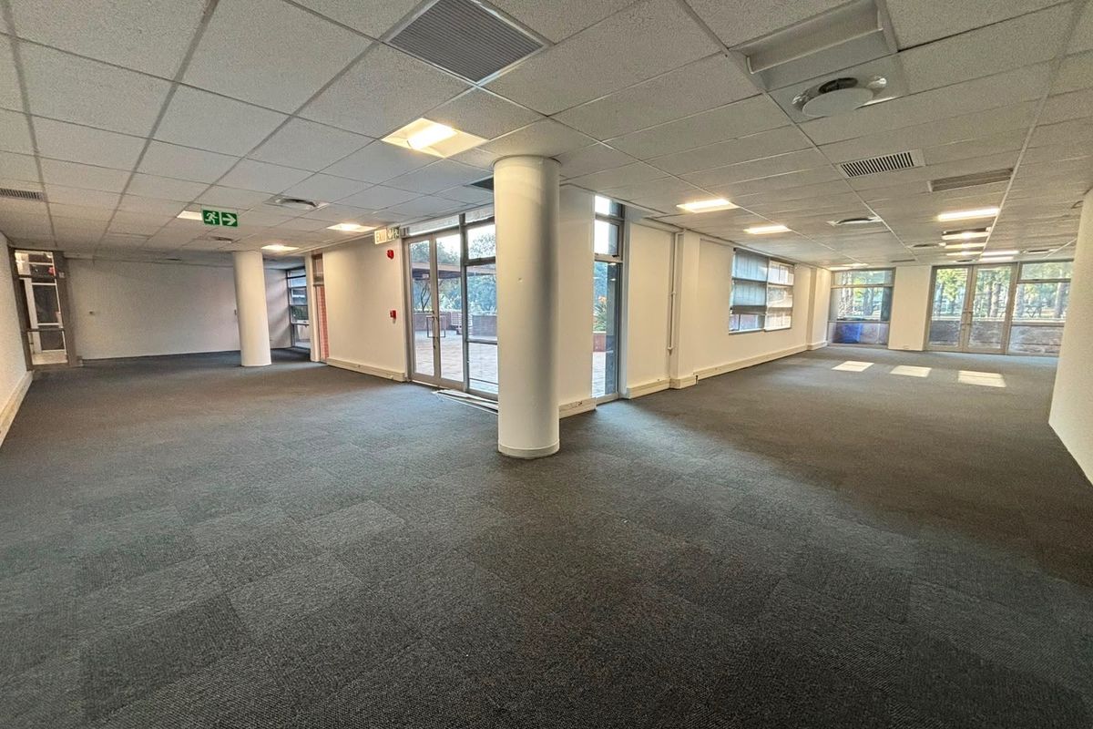 A spacious, open-plan commercial office area featuring carpeted flooring, suspended ceilings with recessed lighting, and large windows providing natural light and outdoor access.