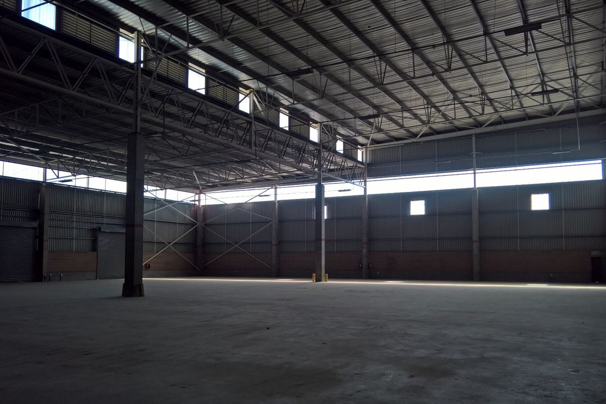 Spacious industrial warehouse featuring high ceilings, steel truss roofing, concrete flooring, and multiple roller shutter doors for efficient logistics and storage operations.