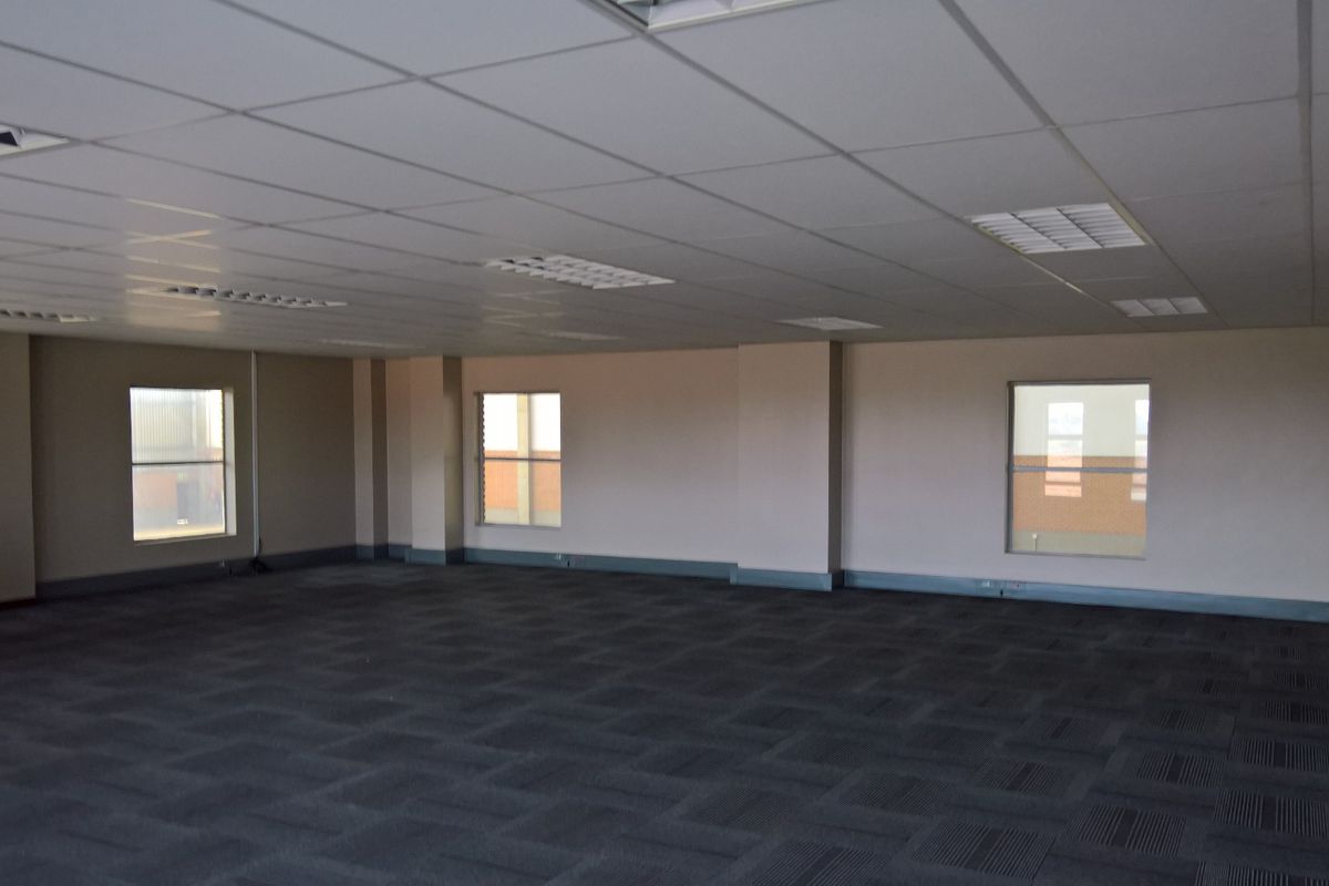 Spacious, open-plan office area featuring neutral walls, carpet tile flooring, and a suspended ceiling with integrated lighting.