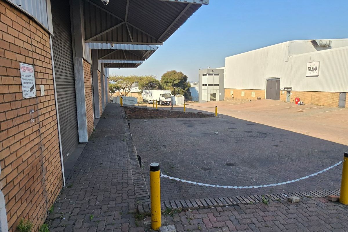Industrial exterior rear yard featuring paved loading area, roller shutter doors, and steel canopy coverage for logistics and operational access.