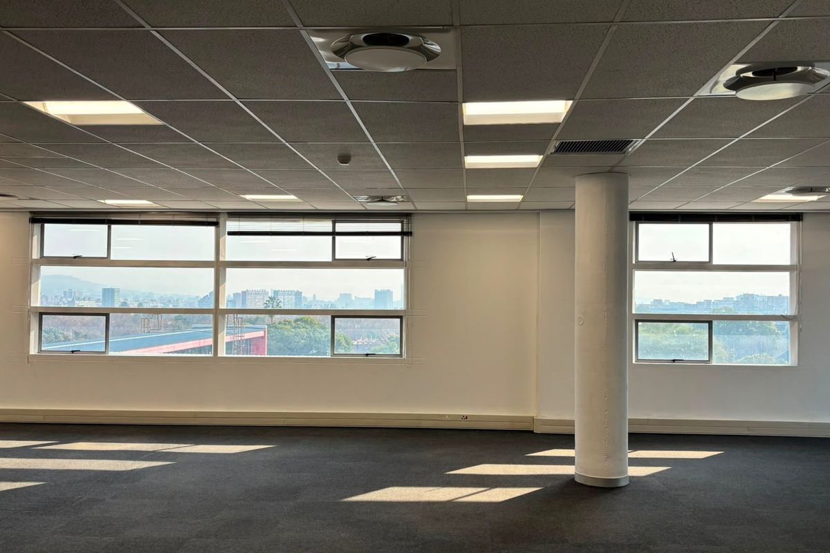 A bright, open-plan office space featuring large windows with city views, a suspended ceiling with recessed lighting, and neutral carpet flooring.