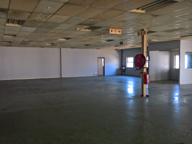 A large, open-plan industrial utility space featuring a suspended ceiling, concrete flooring, and integrated fire safety equipment.
