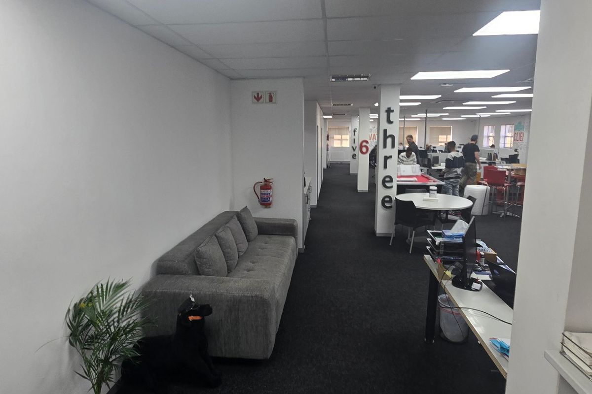 Open-plan commercial office space featuring a suspended ceiling, recessed lighting, and dark carpeting, suitable for a collaborative work environment.