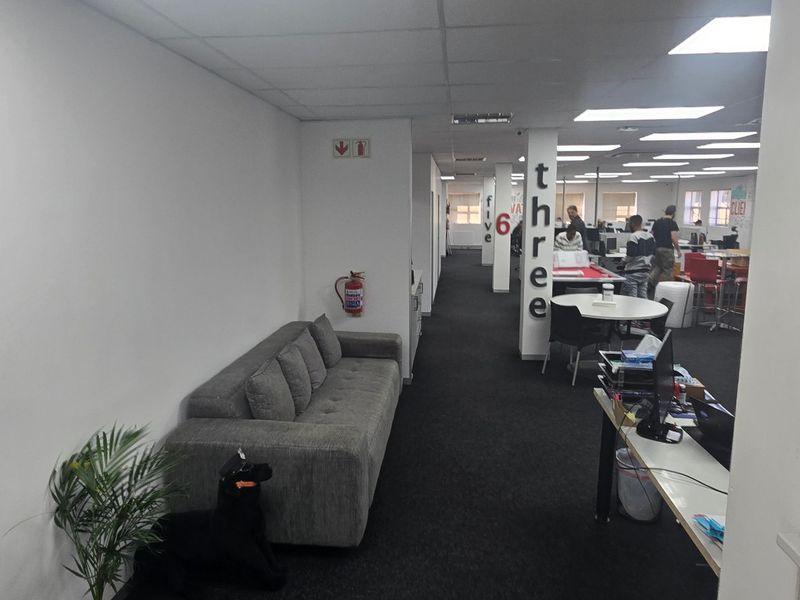 Open-plan commercial office space featuring a suspended ceiling, recessed lighting, and dark carpeting, suitable for a collaborative work environment.