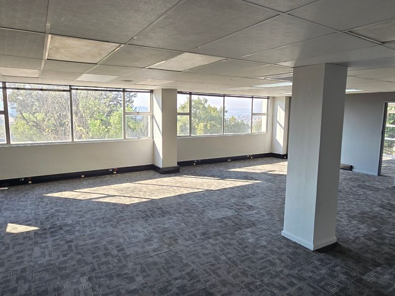 Spacious open-plan office area featuring large windows with natural light, carpeted flooring, and a suspended ceiling, suitable for a professional workspace.
