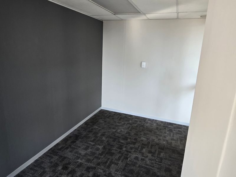 A clean, empty office space featuring dark carpet tiles, a contrasting accent wall, and a suspended ceiling with integrated lighting.