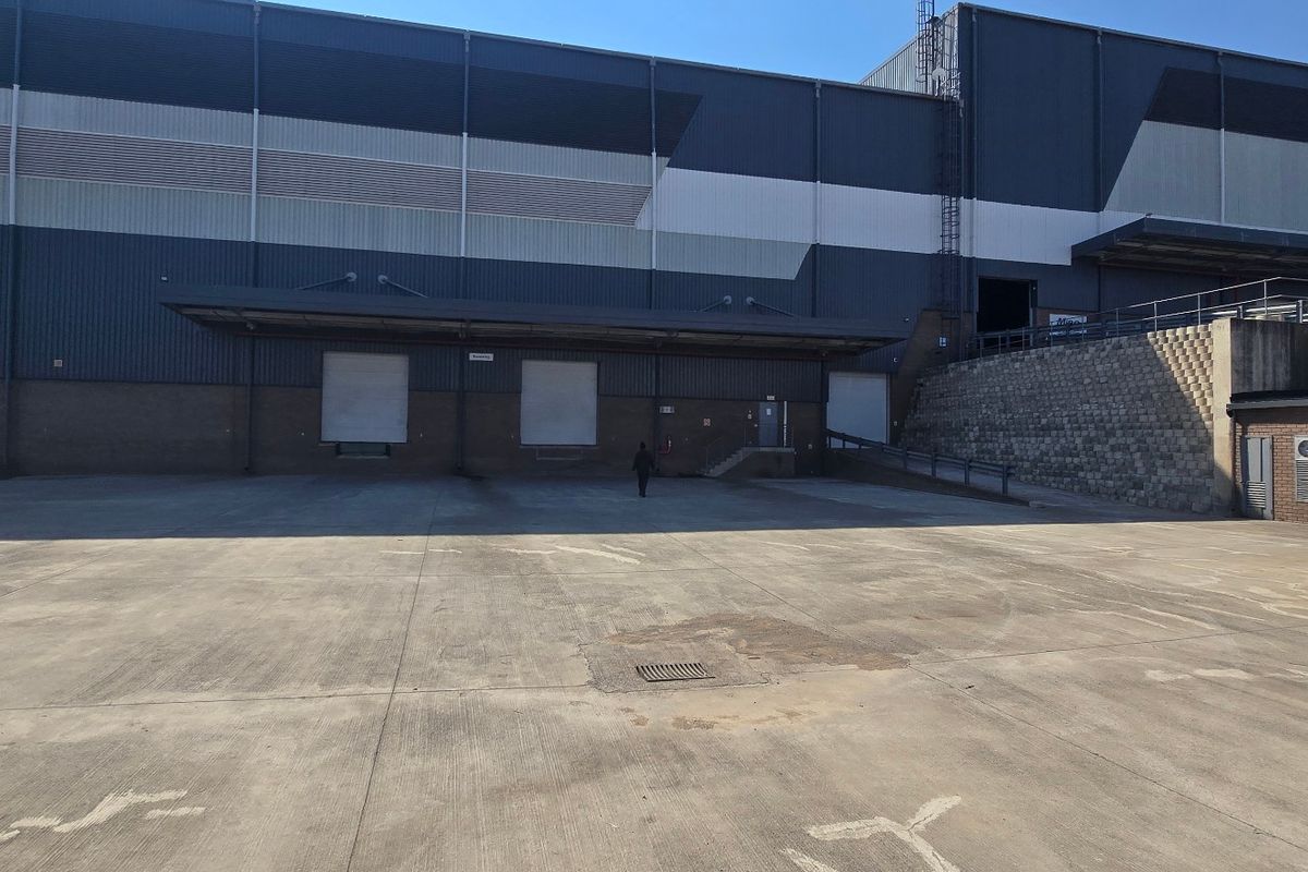 Industrial rear yard featuring multiple loading docks, concrete hardstand, and a retaining wall, providing functional access for logistics and operations.